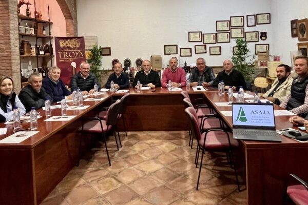 ASAJA Castilla-La Mancha llevará a Europa su estrategia sobre el viñedo