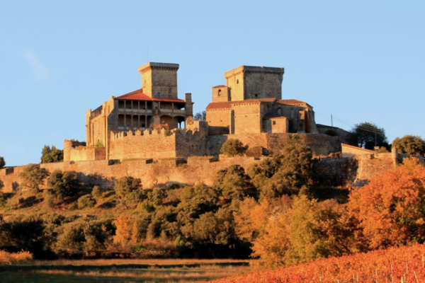 La D.O. Monterrei presenta su variedad estrella, el Godello