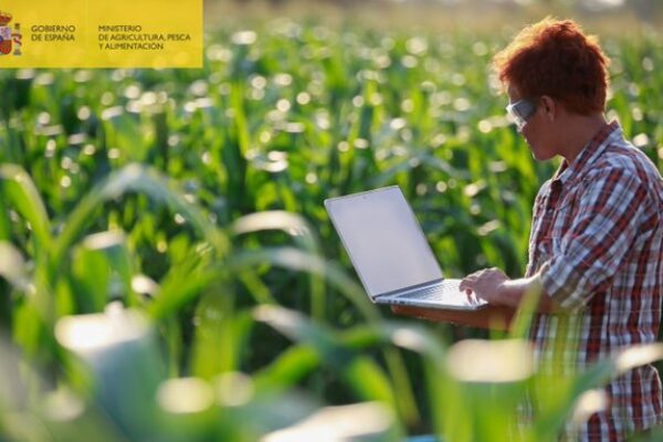 El Ministerio de Agricultura convoca ayudas al asesoramiento para la digitalización del sector agroalimentario y forestal