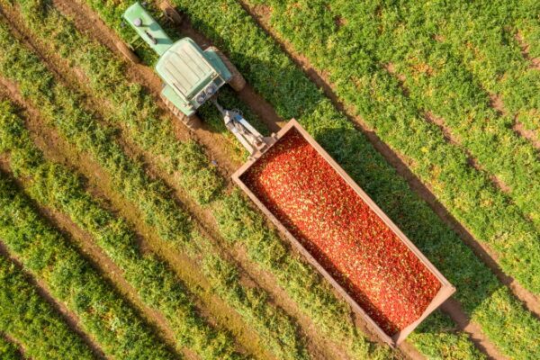 Las asociaciones agroalimentarias solicitan a los Ministros de Agricultura de la UE la protección de los fondos destinados a la promoción de productos agrícolas.