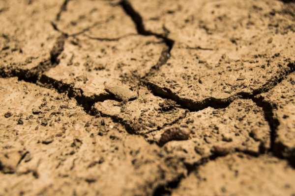 ASAJA, COAG y Cooperativas Agro-alimentarias piden al Ministerio de Agricultura la convocatoria urgente de la Mesa de la Sequía