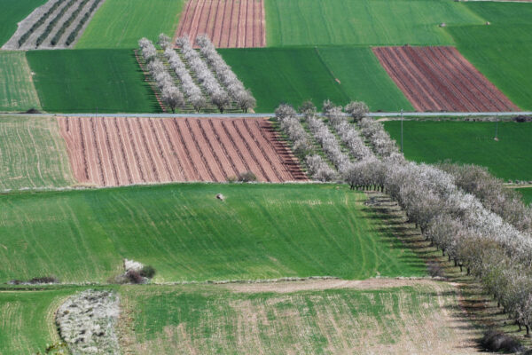 La Rioja aprueba ayudas por casi 3 millones para el uso de sistemas alternativos a los productos químicos en la lucha contra plagas y enfermedades de los cultivos