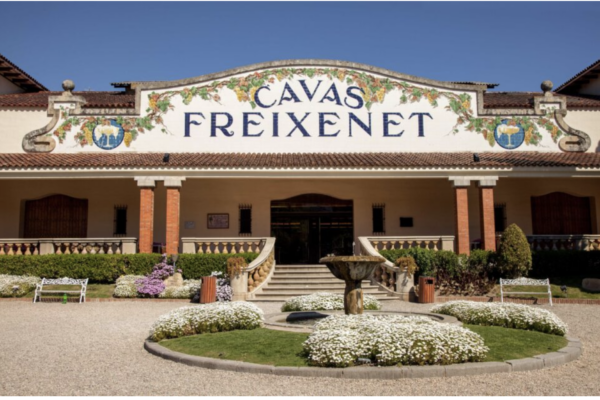 Grupo Freixenet renueva las direcciones de Marketing Nacional e Internacional