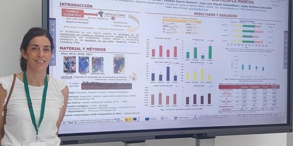 El Grupo de Investigación Vitivinícola del IRIAF profundiza en el conocimiento de tres variedades de uva tinta y su adaptación al cambio climático