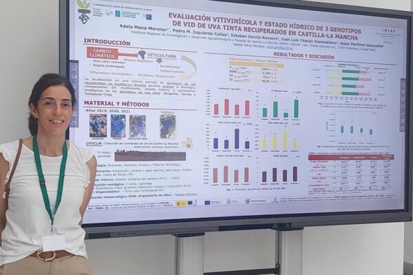 El Grupo de Investigación Vitivinícola del IRIAF profundiza en el conocimiento de tres variedades de uva tinta y su adaptación al cambio climático