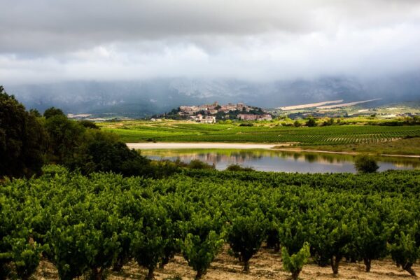 Rioja suma 14 nuevos «Viñedos Singulares» reforzando su excelencia y diversidad