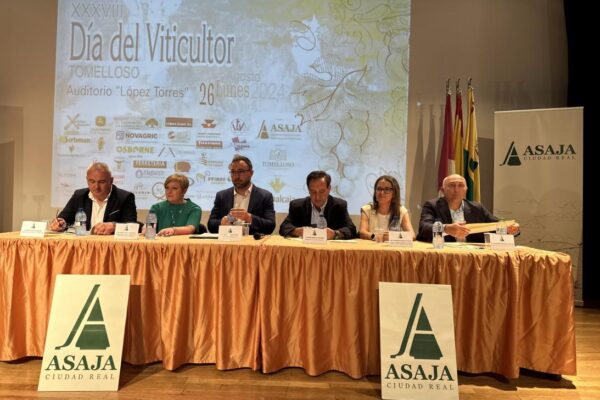 El primer semestre de 2024, el mejor para las exportaciones de vino de Castilla-La Mancha