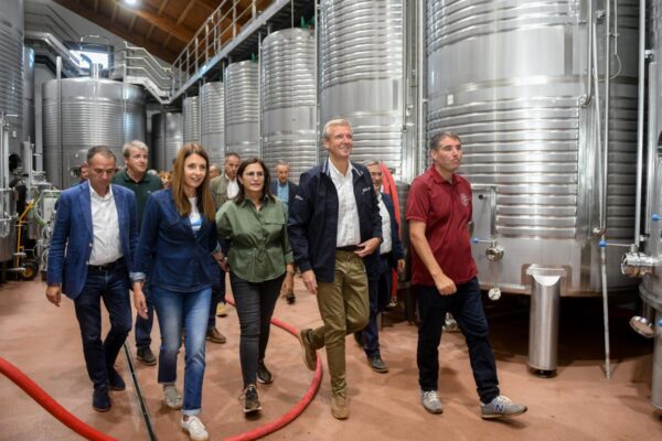 Denominación de Origen Monterrei espera recoger más de 7 millones de kilos de uva