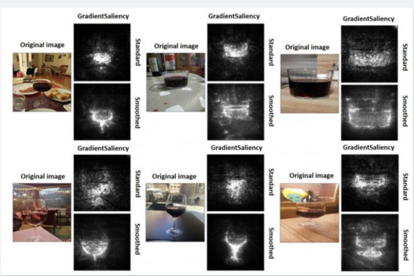 Investigadores utilizan IA para la estimación del volumen de vino tinto contenido en una copa a partir de fotos