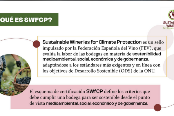 ‘Sustainable Wineries for Climate Protection’ supera el centenar de bodegas certificadas