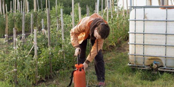 Galicia pondrá en marcha este 2024 una aplicación para viticultores que ayudará en el uso de tratamientos en la vid