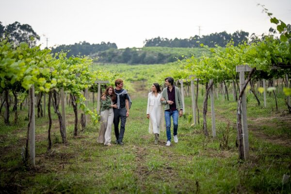 Bodegas Fillaboa premiada por su paisaje enoturístico