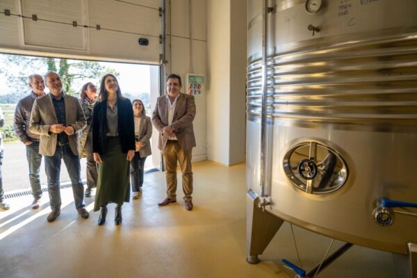 Galicia apoya la elaboración y comercialización de productos vitivinícolas con una nueva convocatoria de ayudas