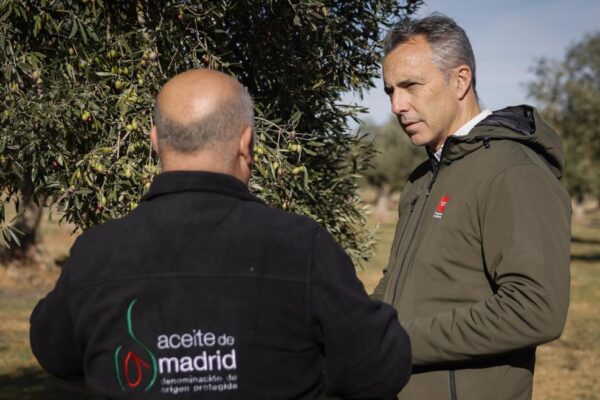 La Comunidad de Madrid finalizó la temporada 2023/2024 de aceite de oliva con una comercialización de 18.600 botellas