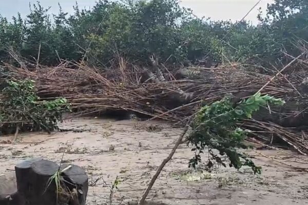 ASAJA Málaga reclama la inclusión urgente de la totalidad de los municipios malagueños afectados por la DANA en las ayudas estatales