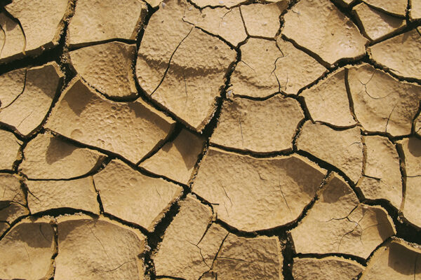 Valencia anuncia el pago de otros 4 M a 603 ganaderos y 3.175 nuevos agricultores para hacer frente a las pérdidas causadas por la sequía