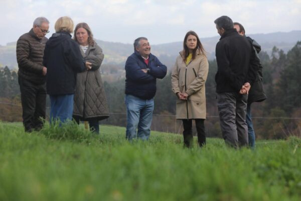 La Xunta convocará en 2025 una nueva línea de ayudas para apoyar la incorporación de agricultores y ganaderos a la producción ecológica