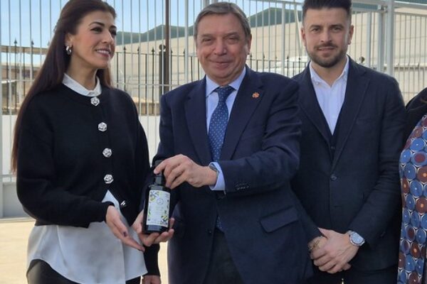 ‘La estabilidad en los precios es clave para todos los eslabones de la producción del aceite de oliva’