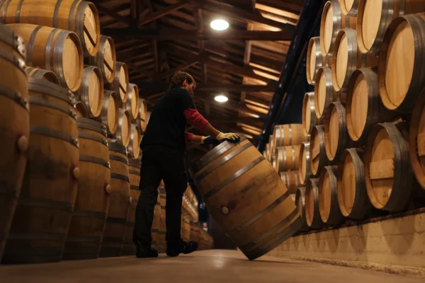 Rioja comercializó en 2024 un total de 328.461.466 botellas, un 0,63% más que el año anterior