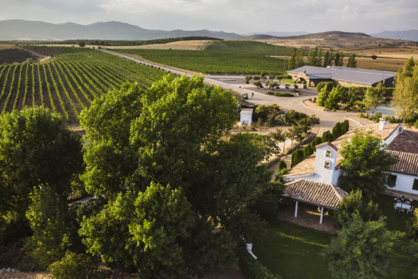 La Unión Europea registra la nueva Denominación de Origen Protegida de vino de pago Río Negro