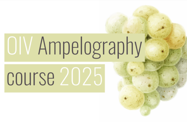 Apertura de inscripciones en la 4.ª edición del Curso Internacional de Ampelografía de la OIV