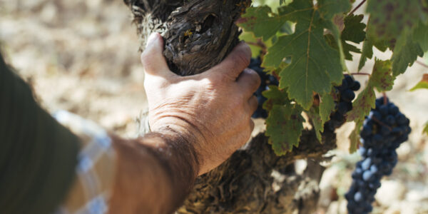 La Rioja destina 375.000 euros a para mejorar la oferta formativa dirigida a los profesionales del medio rural