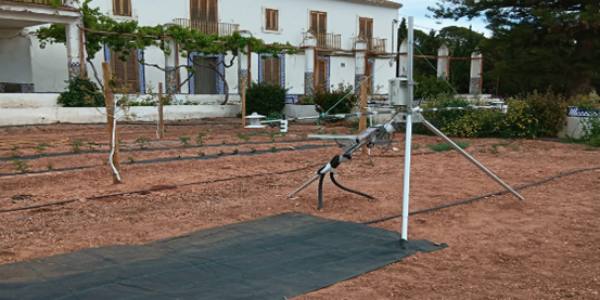 El IVIA evalúa el efecto de diferentes tipos de coberturas en los suelos agrarios