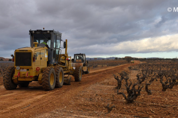 El MAPA abrió a información pública una nueva línea de ayudas por 165 M€ para agilizar la recuperación del tejido productivo afectado por la dana