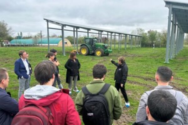 Una innovadora instalación analiza la compatibilidad entre producción agrícola y energía solar en Euskadi