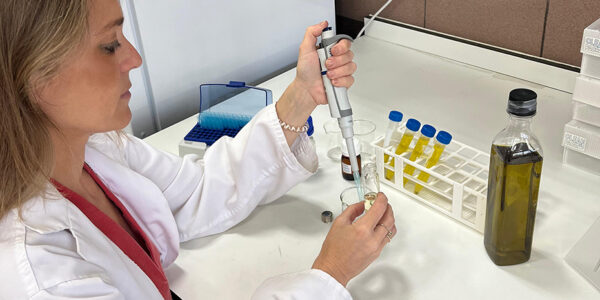 Investigadores andaluces aplican IA para predecir con alta precisión el aroma del aceite de oliva virgen extra