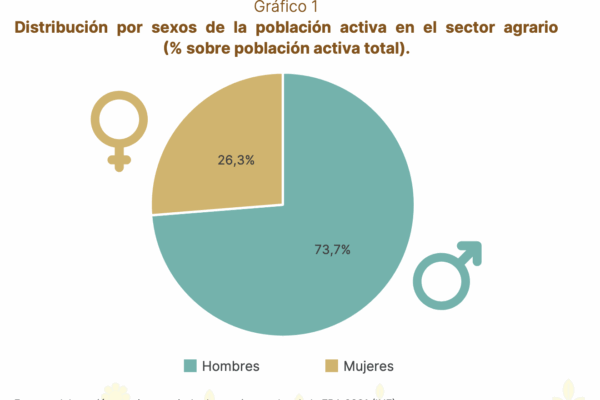 La mujer solo representa el 26,3% de la población activa agraria, y cobra una media de seis euros menos por jornada que el hombre