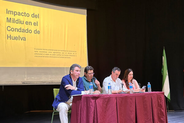 El Consejo Regulador de la D.O.P. Condado de Huelva se moviliza ante el impacto del Mildium