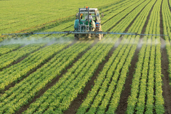 La utilización de productos fitosanitarios se redujo en 2023 pero aumentó en 2024