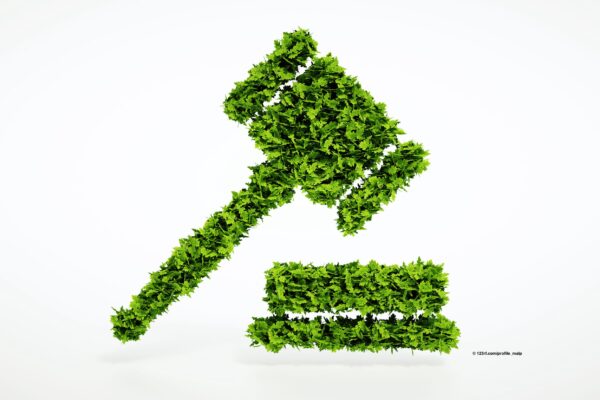 La Comisión invita a presentar observaciones sobre la futura simplificación de la legislación medioambiental