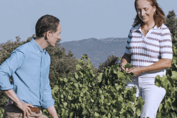 Familia Torres redefine su distribuidora como Torres Distribución Vinos y Destilados
