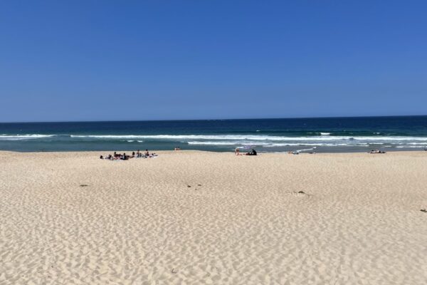Los mayoristas de alimentación registran un crecimiento en la demanda del 10% en verano