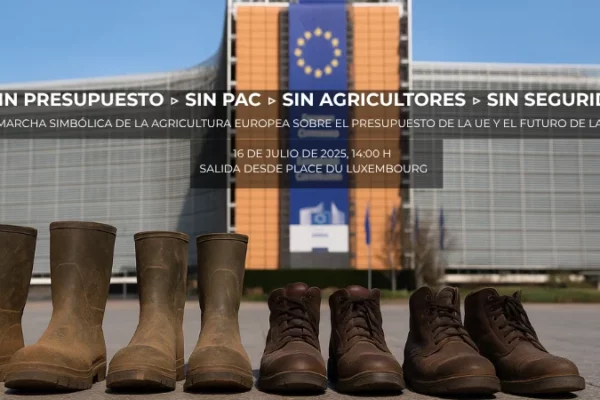 Las organizaciones agrarias europeas defiende en Bruselas el 16 de julio la PAC y el futuro del campo europeo