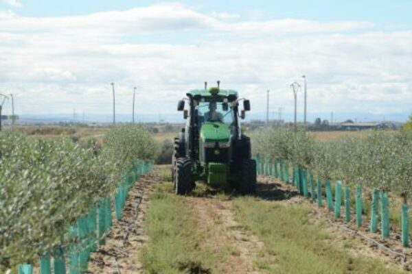 Más de 1.600 agricultores y ganaderos se benefician del Plan Renove 2025