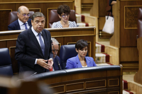 El Congreso insta al Gobierno a reforzar los controles fitosanitarios para prevenir la entrada de la filoxera de la vid en Canarias