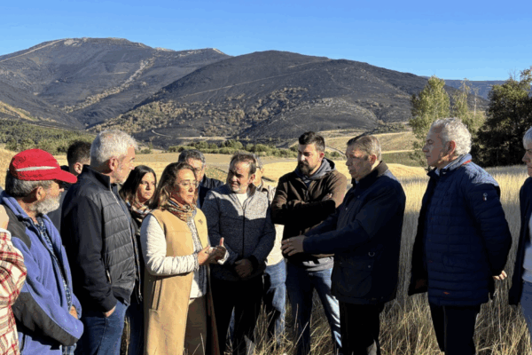 Castilla y León ha destinado ya 5,3 M€ al sector agrario afectado por los incendios