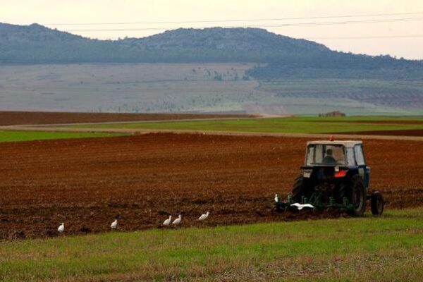 Los agricultores y ganaderos españoles percibirán 2.563 M€ en pagos anticipados de las ayudas directas de la PAC