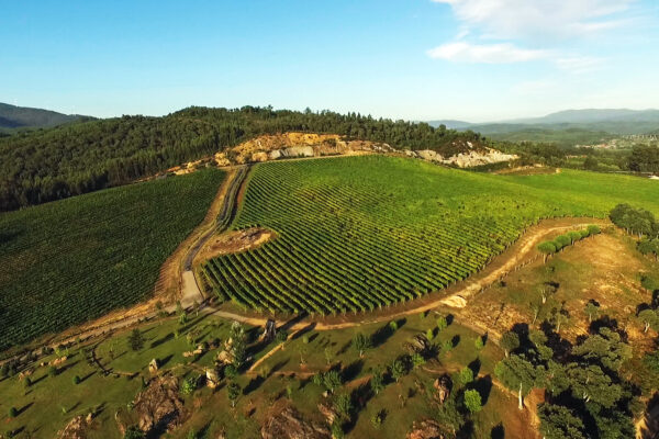 Arzuaga desembarca en RíasBaixas