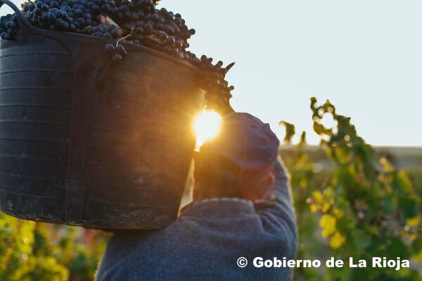 La Comisión propone medidas para apoyar el relevo generacional en la agricultura y garantizar el futuro alimentario, agrícola y rural de Europa