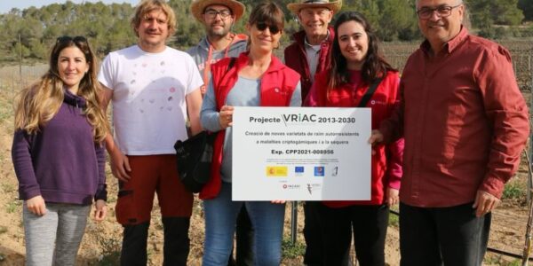 El proyecto VRIAC desarrolla treinta nuevas variedades autoresistentes a oídio y mildiu