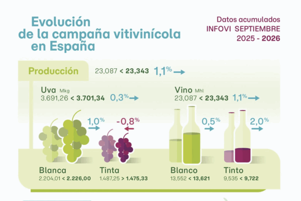 Caen el consumo y las exportaciones de vino en septiembre, sube la producción