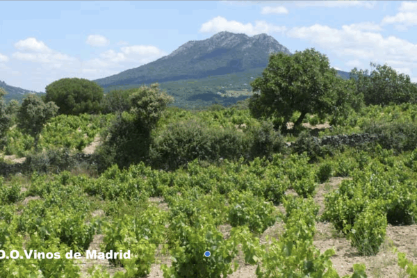 Cerca de 15,5 M€ de las ayudas de la PAC para los agricultores y ganaderos madrileños