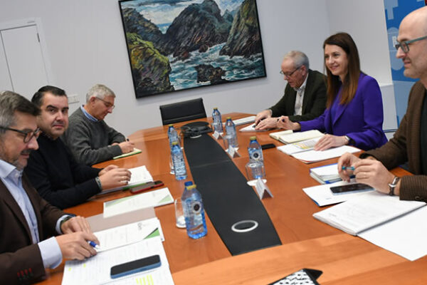 El C.R.D.O. Ribeiro y Medio Rural acuerdan frenar la pérdida de viñedo