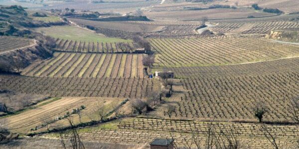 La Rioja convoca las nuevas ayudas destinadas a proyectos innovadores de cooperación para el medio ambiente con una inversión de 1,79 M