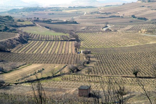 La Rioja convoca las nuevas ayudas destinadas a proyectos innovadores de cooperación para el medio ambiente con una inversión de 1,79 M
