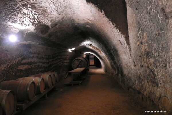 España inició 2025 con 3.868 bodegas, 57 menos que el año anterior